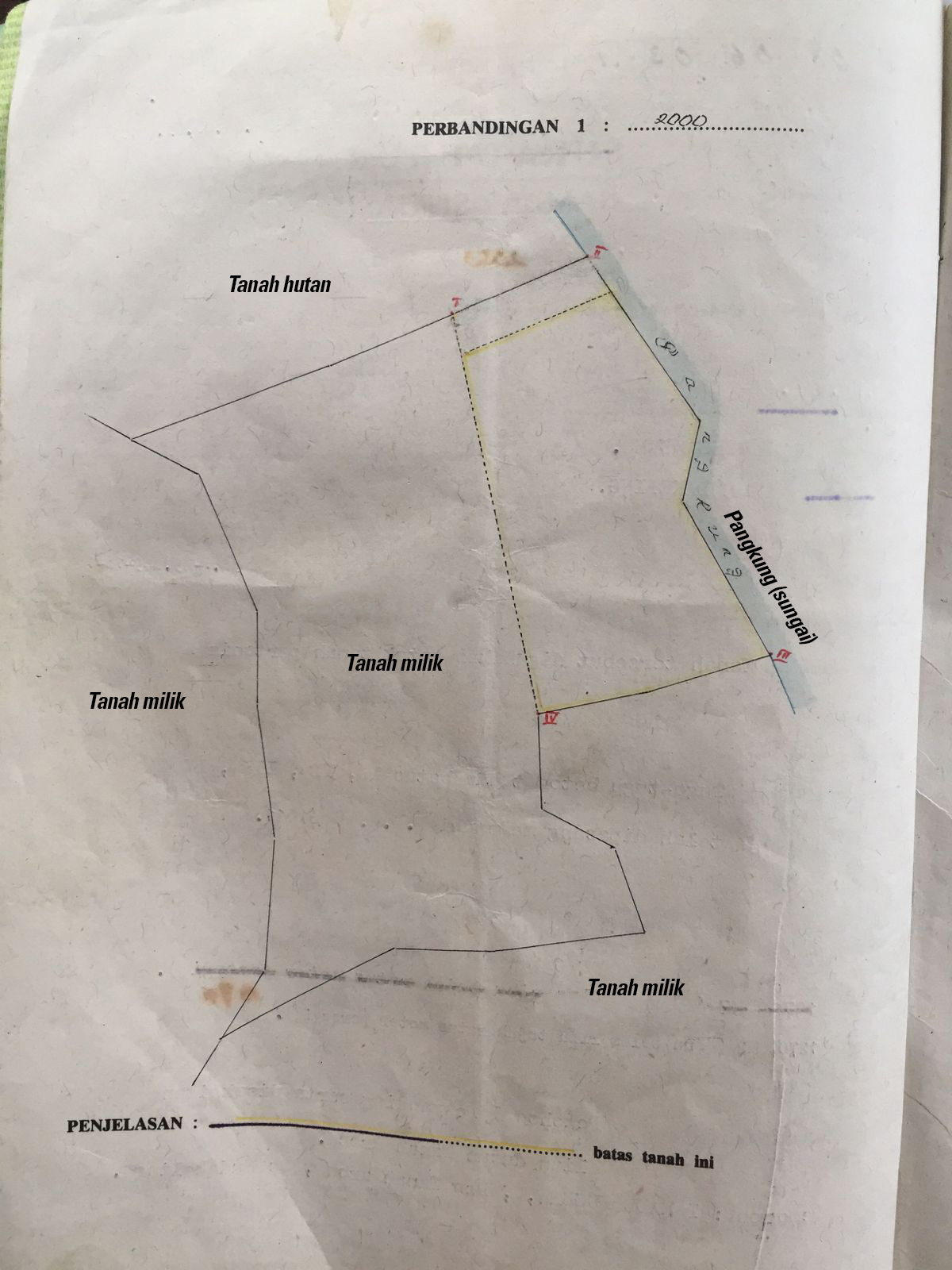 WhatsApp Image 2025-07-20 at 19.11.59_edit